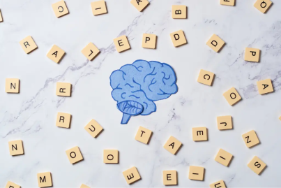 letters and the brain noting how the brain learns to read